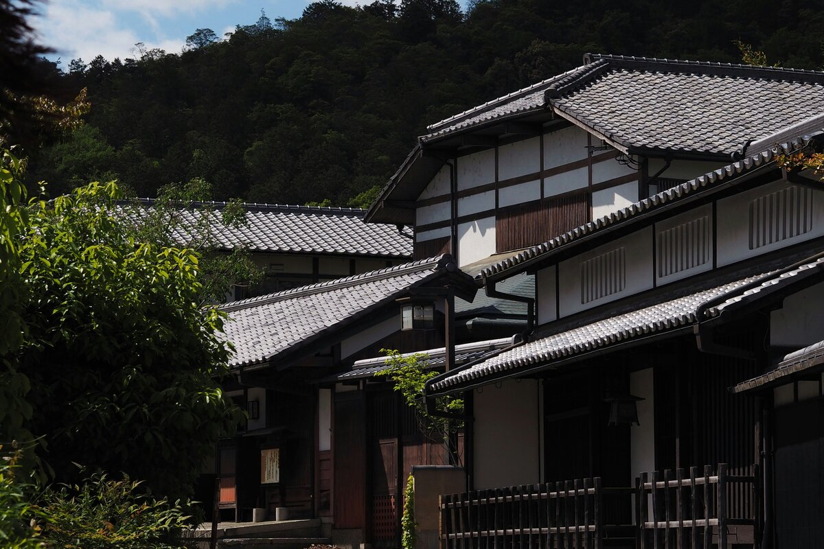Header Image